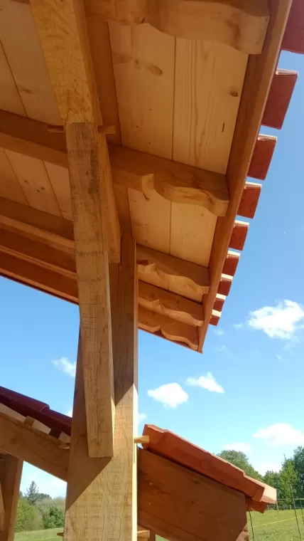 Rénovation de charpente à Saint Vincent de Tyrosse, Capbreton, SARL NICOLAS DIRIS